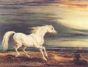 James Ward Napoleon's Horse,Marengo at Waterloo oil painting artist